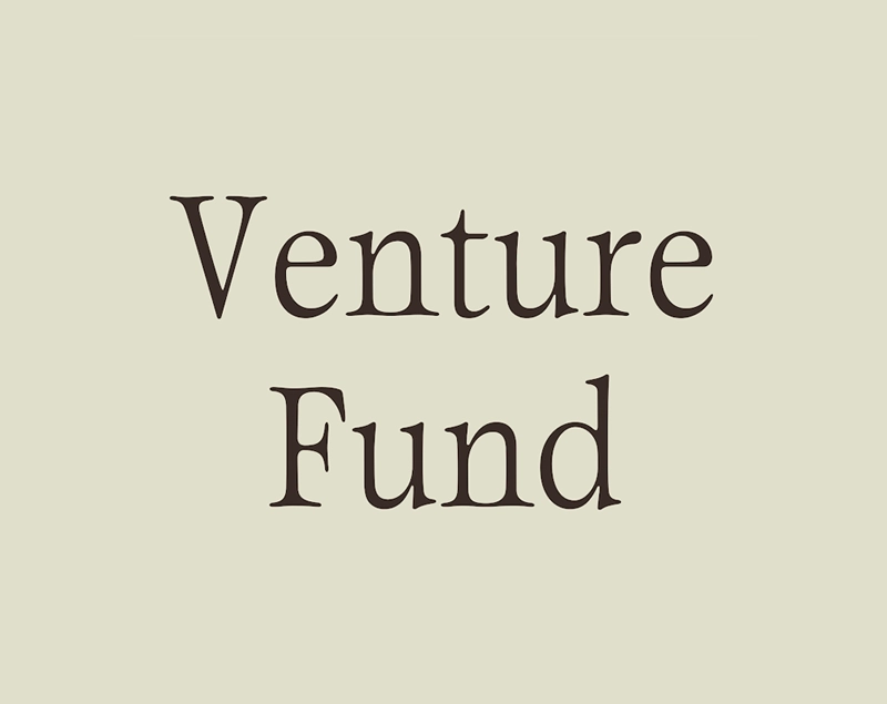 Venture Fund